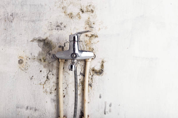 Marietta, OK Mold Removal Company