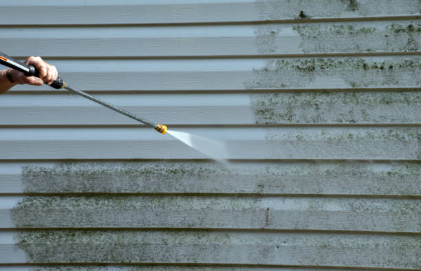 Best Mold Remediation Experts  in Marietta, OK