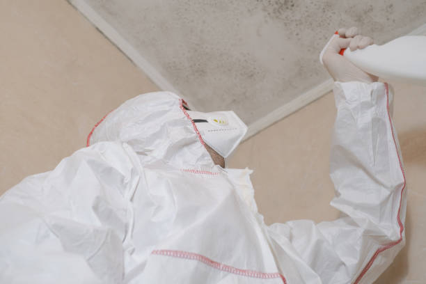 Best Black Mold Removal  in Marietta, OK
