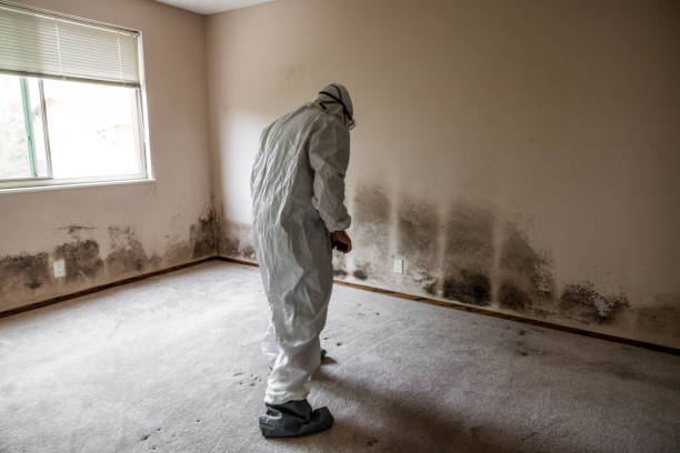 Marietta, OK Mold Removal Company